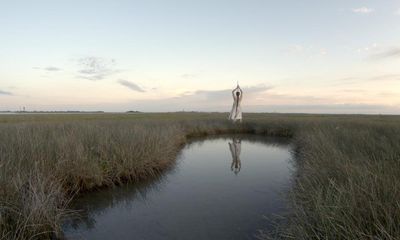 ‘The last wild places’: the Venice show about Earth’s spiralling salt marsh crisis