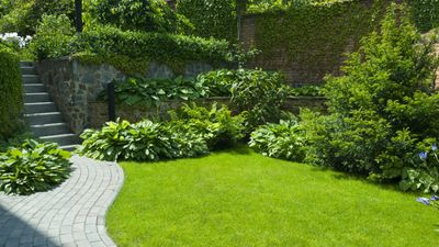 How to kill weeds but not grass – 9 expert methods for a greener, healthier lawn