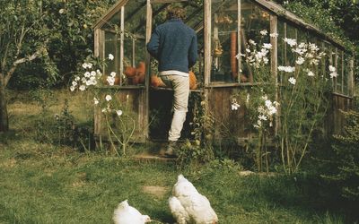 Cook up a storm: 13 of the best British cookbooks of all time