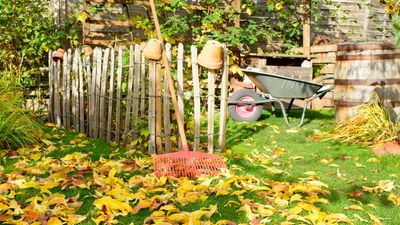 7 fall gardening tasks to tackle this season