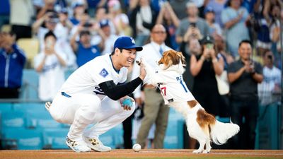 Shohei Ohtani's Dog Decoy Adorably Handles First Pitch Duties at Dodgers-Orioles