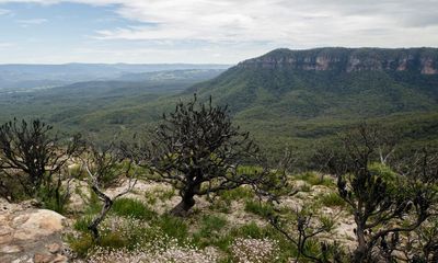 Dam in Blue Mountains closed after elevated levels of PFAS chemicals detected