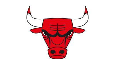 Viral Chicago Bulls logo concept has a clever hidden reference