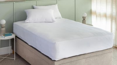 The Soak & Sleep Anti-Bed Bug Mattress Encasement is the answer to all your mattress issues