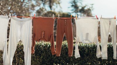 6 reasons you should not dry laundry outside – according to laundry professionals