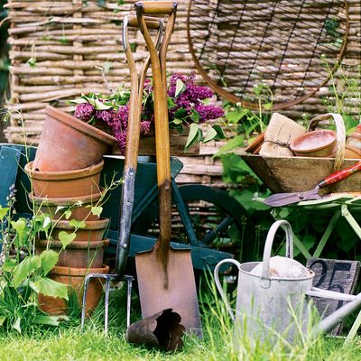 Can you reuse soil in plant pots? Here’s why you shouldn’t throw it away just yet