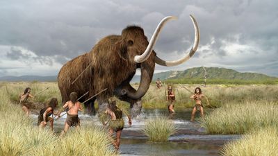 1st Americans impaled and killed mammoths with pikes, not spears, study suggests