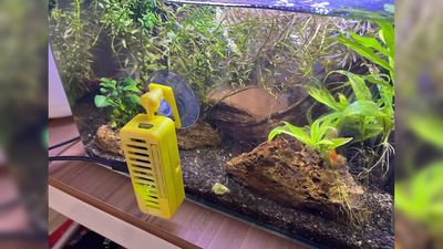 Feed your fish remotely with this Raspberry Pi-powered feeding system