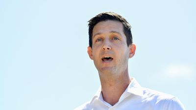 NSW Liberal MP quits seat, denies child-sex charges