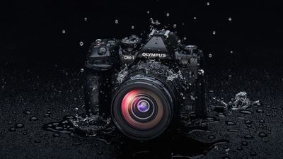 New firmware update improves autofocus in OM System's flagship cameras