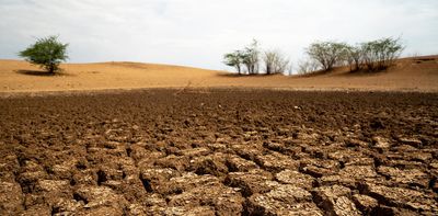 Healthy soils are good for your gut, brain and wellbeing – here’s why