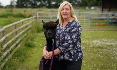 Keir Starmer should review killing of Geronimo the alpaca, says farmer