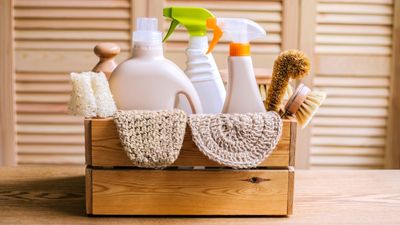 Clean your home without harming the planet by bringing in these 7 expert tips