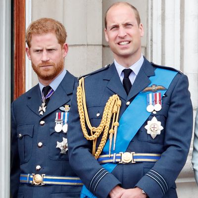 Prince Harry and Prince William Make Surprise Joint Appearance at Uncle’s Funeral