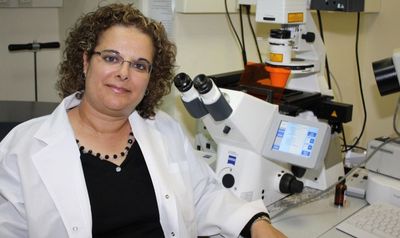 Bar-Ilan University’s Nanoparticles Revitalize Exhausted NK Cells To Fight Cancer‌ ‌