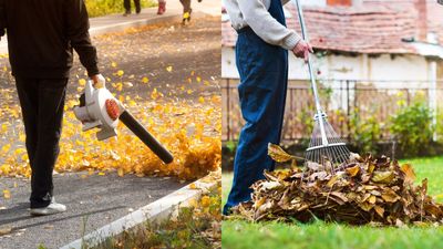 Leaf blower vs rake – expert gardeners reveal if you should go hi-tech or stay old-school