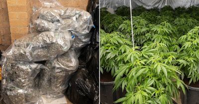 ACT grow houses part of 'sophisticated, clandestine' operation, court told