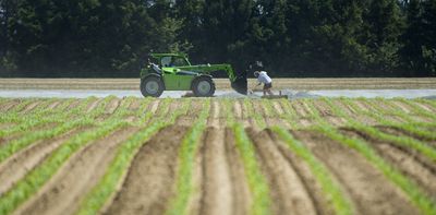 Canada needs to overhaul the Temporary Foreign Worker program, not just tinker with it