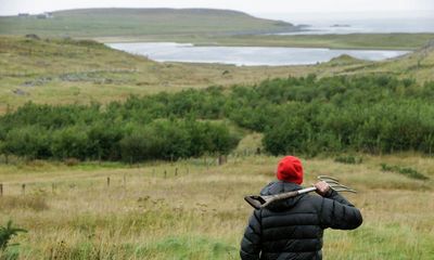 Profits from community windfarm to fund a million native trees in Hebrides