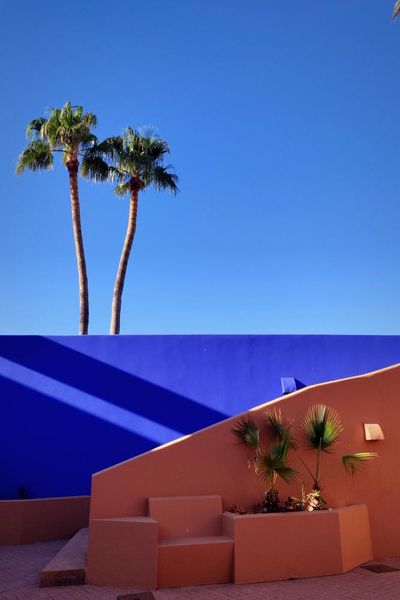 ‘It’s an image of how summer holidays should be’: Antonio Heredia’s best phone picture