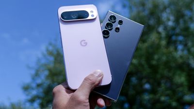 I shot over 200 photos with the Pixel 9 Pro XL vs Galaxy S24 Ultra — here's the winner