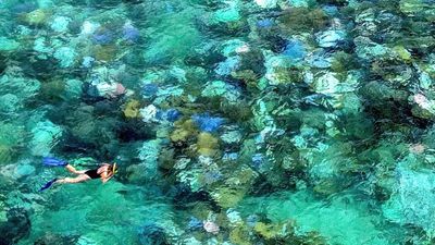 Window to save Australia's Great Barrier Reef is closing fast, report warns