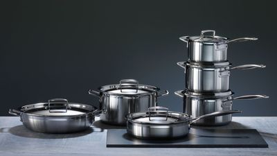 Can we all stop talking about Le Creuset's cast iron? Their stainless steel pans deserve some spotlight too