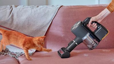 Professional cleaners recommend these 6 tips for vacuuming pet hair, the right way