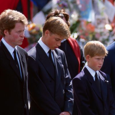 Princess Diana's Younger Brother Charles Spencer Remembers Beloved Royal on the 27th Anniversary of Her Untimely Death