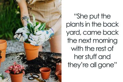 “We Called The Police”: Newcomer Discovers Her Bench And Plants Displayed In Neighbors’ Yard