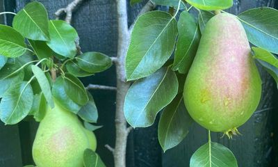 There’s time to savour the long summer at a family gathering