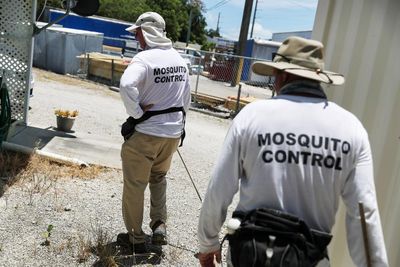 Mosquito-borne virus prompts public health restrictions in Massachusetts – and backlash