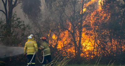 Tomago fire under control after evacuations, road closures and backburning