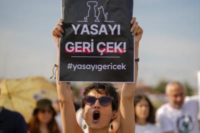 Protests In Istanbul Against New Law On Stray Dogs