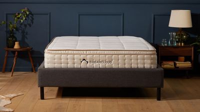 Nectar vs DreamCloud: which mattress brand should I buy?