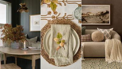 Trust me, neutral fall decor is how to update your home for autumn in the chicest way – these are my best neutral picks for cozy season