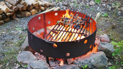 Can you cook on a fire pit? Chefs reveal 4 ways to cook more than s'mores