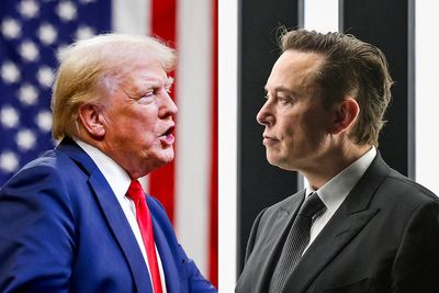 Trump could appoint Elon Musk to head committee axing ‘wasteful’ government programs