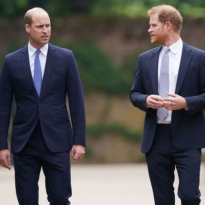 Princess Diana's Family Is "Working Hard" to End Prince Harry and Prince William's Rift