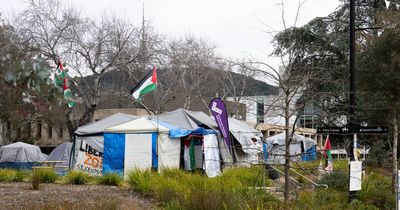 Pain in the grass: $60k too much to fix Palestine camp patches, ANU says