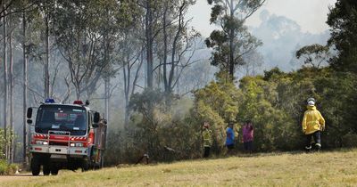 Alleged firebug to face hearing over Hunter blazes during total fire ban