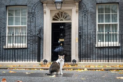 Watch: Keir Starmer’s cabinet arrive at Downing Street ahead of chancellor’s budget grilling