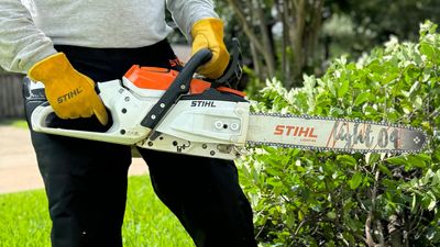 STIHL MSA 300 Cordless Chainsaw review: a solid battery-powered chainsaw ideal for cutting trees down to size