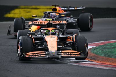 FIA declares all 2024 wings legal after clarification sought on McLaren, Mercedes designs