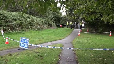Franklin Park: Family's 'hearts broken' as dog walker Bhim Kohli, 80, killed in attack with boy, 14, still in custody