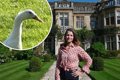 Viscountess calls on amateur sleuths to solve mystery of Duck Strangler on Earl of Sandwich’s estate