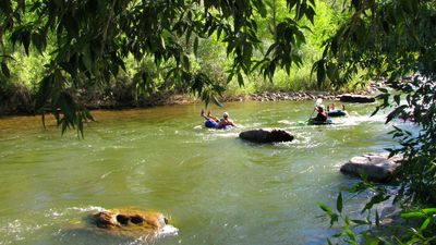 Labor Day leaves Colorado river polluted with painkillers and cocaine