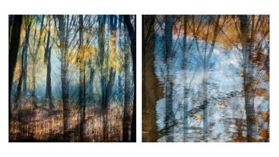 Photo-artist Charlotte Bellamy harnesses intentional camera movement for Light & Land exhibition