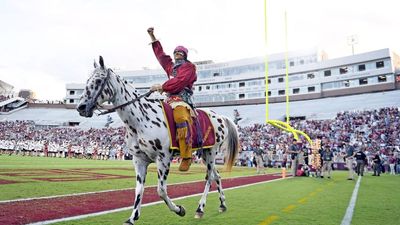 Florida State Fan Who Made Gross Gamble Goes Off the Grid After Loss to BC