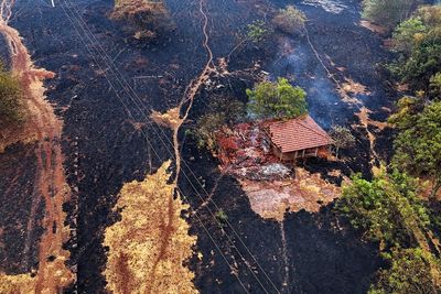 Heat waves in Brazil burning rainforest